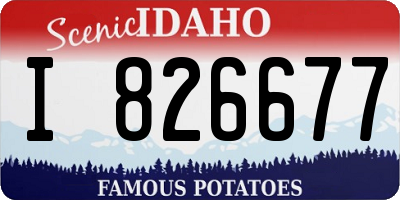 ID license plate I826677