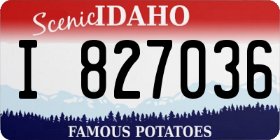 ID license plate I827036