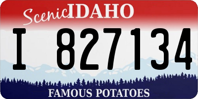 ID license plate I827134