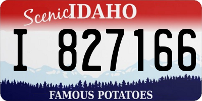ID license plate I827166