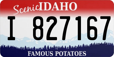 ID license plate I827167