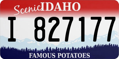 ID license plate I827177