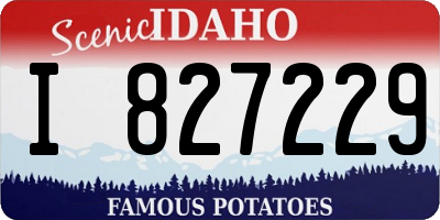 ID license plate I827229