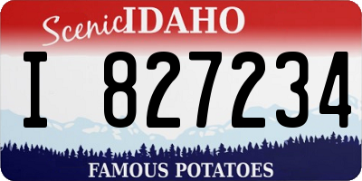ID license plate I827234
