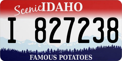 ID license plate I827238