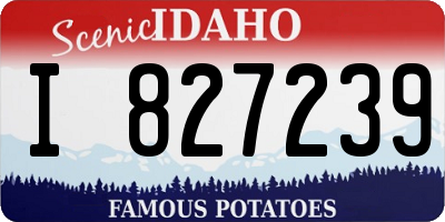 ID license plate I827239