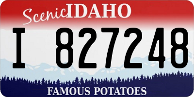 ID license plate I827248