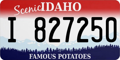 ID license plate I827250