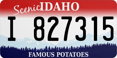 ID license plate I827315