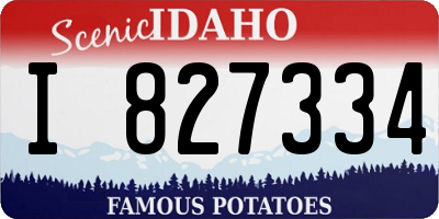 ID license plate I827334