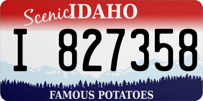 ID license plate I827358