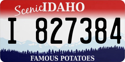 ID license plate I827384