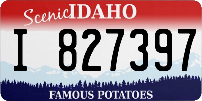 ID license plate I827397