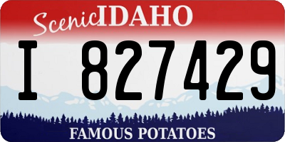 ID license plate I827429