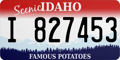 ID license plate I827453