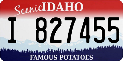 ID license plate I827455