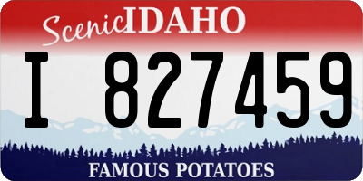 ID license plate I827459