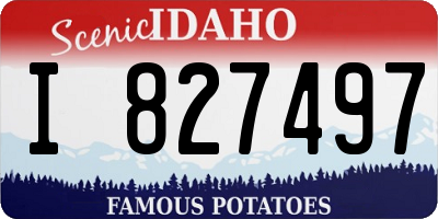ID license plate I827497