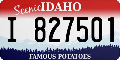 ID license plate I827501