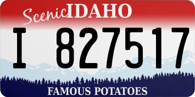 ID license plate I827517
