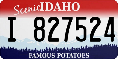 ID license plate I827524