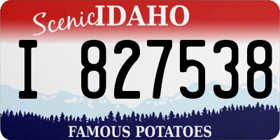 ID license plate I827538