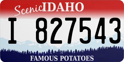 ID license plate I827543