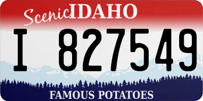 ID license plate I827549