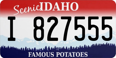 ID license plate I827555