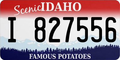 ID license plate I827556