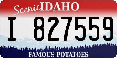 ID license plate I827559