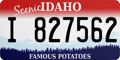 ID license plate I827562