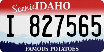 ID license plate I827565