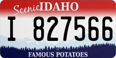 ID license plate I827566