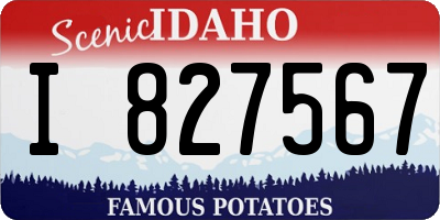 ID license plate I827567