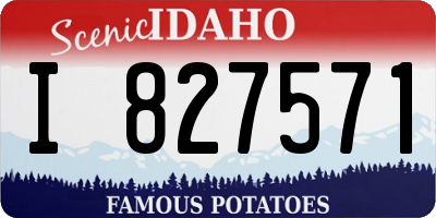 ID license plate I827571
