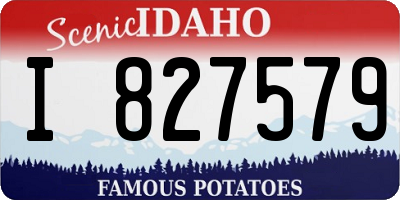 ID license plate I827579