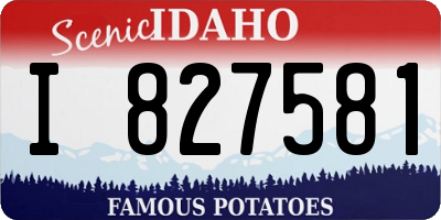 ID license plate I827581