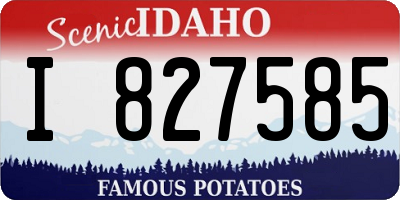 ID license plate I827585