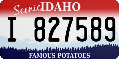 ID license plate I827589