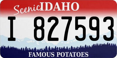 ID license plate I827593