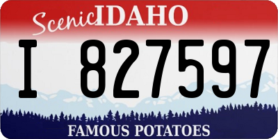 ID license plate I827597