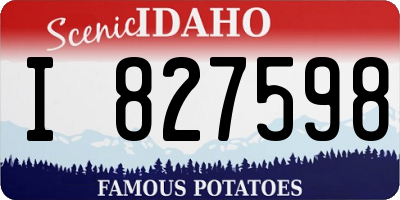 ID license plate I827598