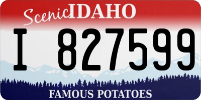 ID license plate I827599