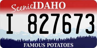 ID license plate I827673