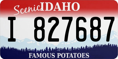 ID license plate I827687