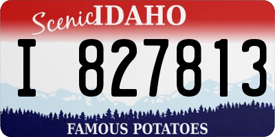 ID license plate I827813