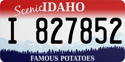 ID license plate I827852