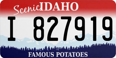 ID license plate I827919