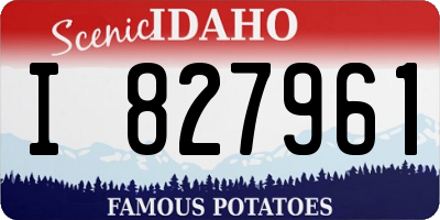 ID license plate I827961